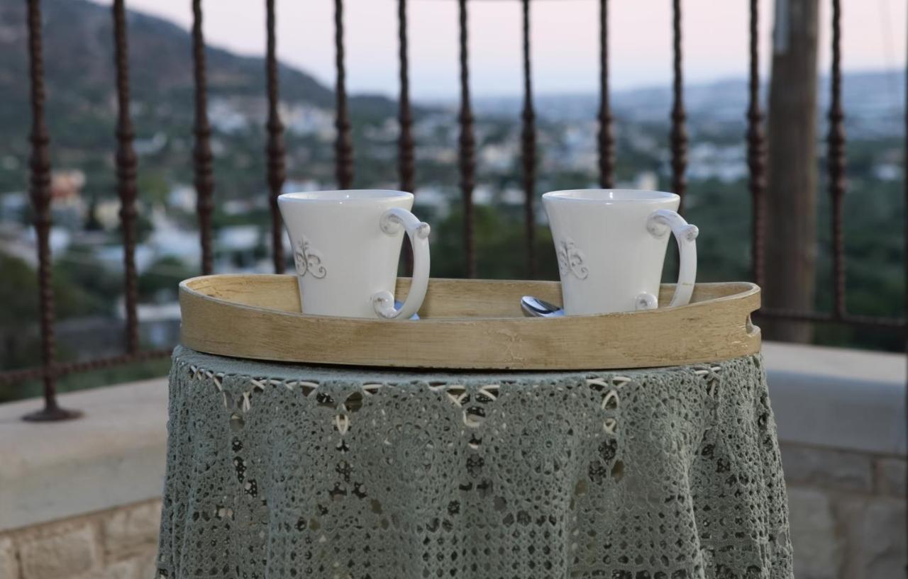 Villa Athina - Irene Country House Ierápetra エクステリア 写真