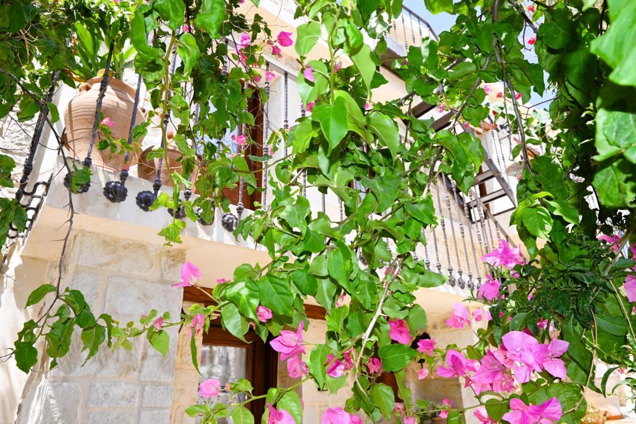 Villa Athina - Irene Country House Ierápetra エクステリア 写真
